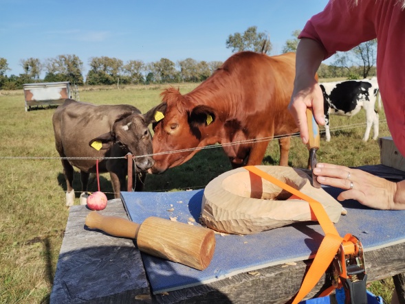 Bildhauerkurs  Holzbildhauerkurs Holzbildhauerworkshop